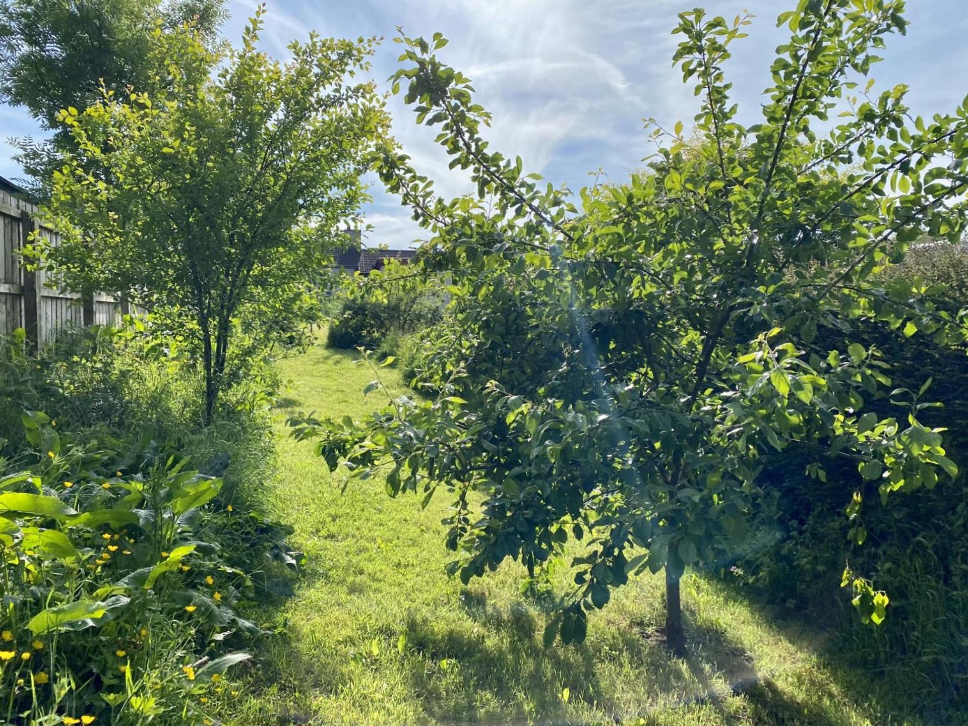 Fairhill Cottage Perfect Location With Garden In Central Ballycastle Bagian luar foto